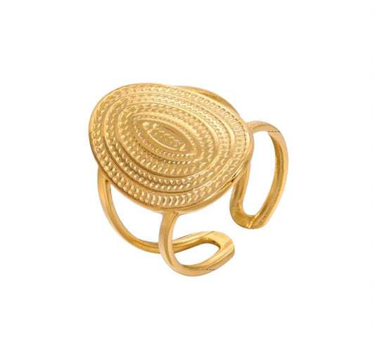 Vane Ring